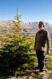 Al-Arz;Kaleidos;Kaleidos-images;Lebanon;Middle-East;Near-East;Tarek-Charara;Youssef-Tawk;Cedars;Cedars-of-Lebanon;Cedrus-libani